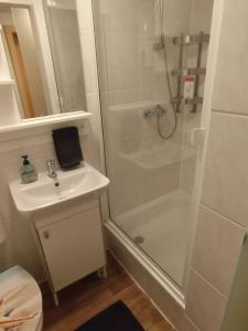 a bathroom with a shower and a sink at FeWo Hospitalskapelle in Schwalmstadt