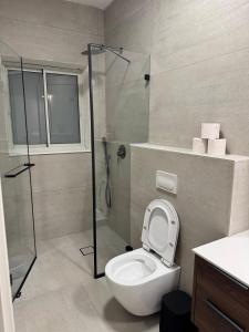 Un baño con inodoro y ducha de cristal. en Bimat HaTzafon, en Kiryat Shemona