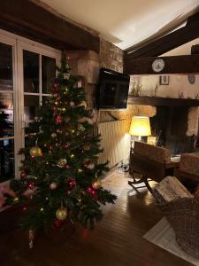 a christmas tree in a living room with a fireplace at Le Moulin de Giroir in Migné-Auxances