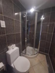 ein Bad mit einer Dusche, einem WC und einem WC in der Unterkunft Quayside Apartment in Newcastle upon Tyne + 6 Fotos