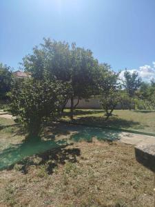 Φωτογραφία από το άλμπουμ του Villa Karetka Orizari σε Orizari