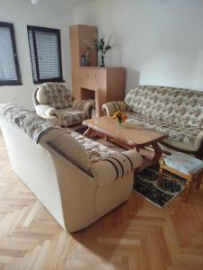 Villa Karetka Orizari في Orizari: غرفة معيشة مع أريكتين وطاولة قهوة