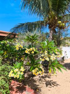 a bunch of flowers on a beach with a palm tree at Casa Mari Suites in Canoa Quebrada