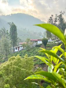 Příroda nedaleko hostelu