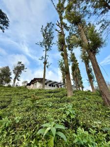 Příroda nedaleko hostelu