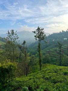 Příroda nedaleko hostelu + 6 fotografií