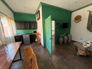 a kitchen with green walls and a green door at Boho luz terrace in San Miguel de Allende