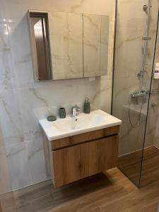 un baño con lavabo y ducha en Nest of paradise 2, en Tríkala