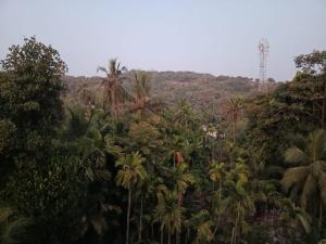 a forest filled with palm trees and other plants at Hare Krishna Beach Resort in Srīvardhan +4 photos