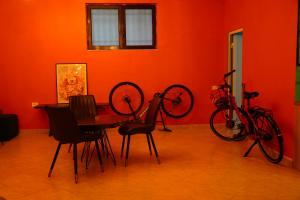 Jízda na kole v ubytování Balkan Hostel nebo okolí