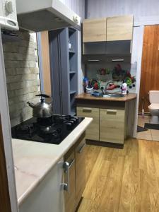 Una cocina con estufa y fregadero. en Ромашка, en Sheshory