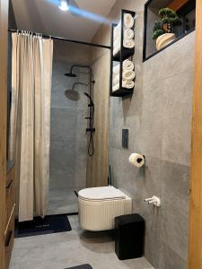 Et badeværelse på Apartament Kryształowy Potok