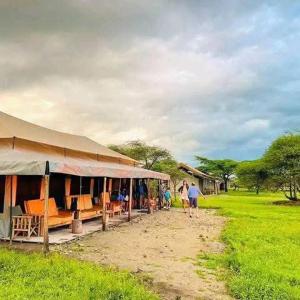 Φυσικό τοπίο κοντά σε αυτό το κάμπινγκ