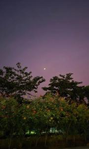 Galería fotográfica de SeaPride Lumina en Karjat