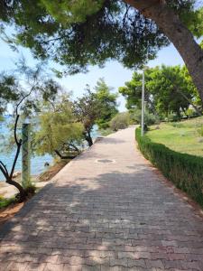 a brick path next to a body of water at Apartment TRI MASLINE with seaview in Trogir