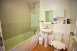 een badkamer met een wastafel, een toilet en een douche bij Long Barn House - Andover in Enham-Alamein