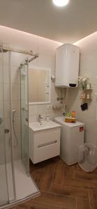 Ένα μπάνιο στο Apartman Aurelia +3 φωτογραφίες