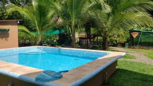 a large swimming pool in a yard with palm trees at Paseo de Damitas in Quepos