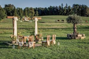 an outdoor ceremony with chairs and a tree in a field at Silverstone Living in Semily +104 photos