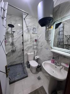 a bathroom with a shower and a toilet and a sink at Tiba Golden Resort in Hurghada