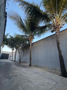 two palm trees standing next to a wall at Espaço Atlântico in Goiânia