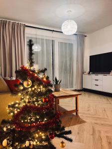 un albero di Natale in un soggiorno con TV di Czapla Siwa Sole Mare a Kąty Rybackie