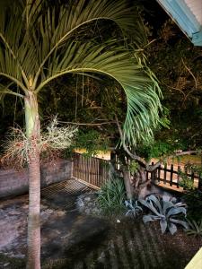 En have udenfor Kactus-Kréyol