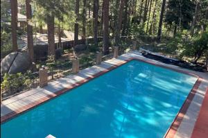 Hot TubSaunaPoolPrivate Beach Tahoe Oasis في Skyland: مسبح في ساحه فيها اشجار