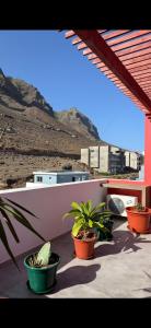 een groep potplanten op een balkon bij Ponta do Sol "A Boa Vida" in Ponta do Sol