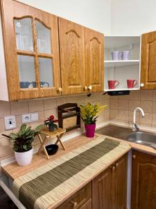 Køkken eller tekøkken på Cozy apartment