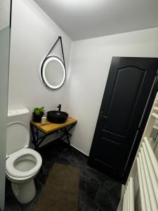 a bathroom with a toilet and a mirror at Cozy Central Studio in Petroşani +10 photos