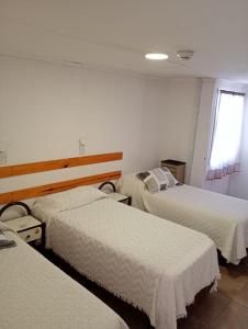 Imagen de la galería de Hotel Los Antiguos, en Los Antiguos