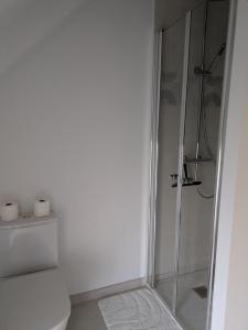 a white bathroom with a shower and a toilet at Aux Cormulets in La Baconnière +6 photos