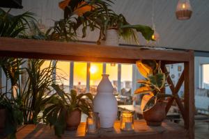 una mesa con macetas encima. en SandCsleep, en Katwijk
