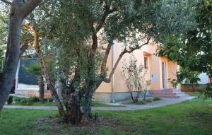 Vonkajšia záhrada v ubytovaní Studio Apartments Izabela