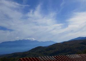 Naturlandskabet i nærheden af lejligheden
