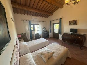 Телевизор и/или развлекательный центр в Agriturismo la Gioia