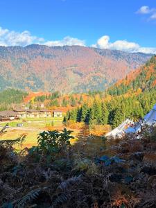 Φωτογραφία από το άλμπουμ του panorama gomarduli σε Gomarduli