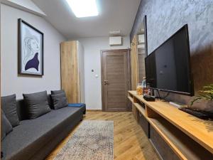 a living room with a couch and a flat screen tv at Ivi Central Apartments in Novi Sad