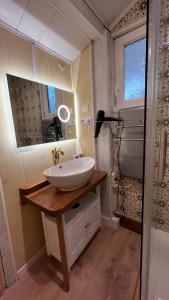 L'Ermitage of Meyriat في Brénod: حمام مع حوض ومرآة وثلاجة +39 صورة