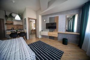 a room with a bed and a living room with a kitchen at Ivi Central Apartments in Novi Sad +37 photos