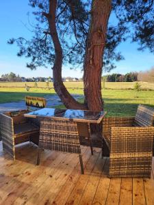 une table et des chaises sur une terrasse en bois avec un arbre dans l'établissement Wanderhütte Woody, à Schwarzbach