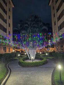 Fotografie z fotogalerie ubytování CL127 Modern Penthouse v destinaci Jacó