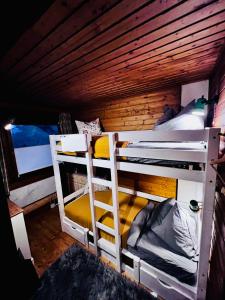 a room with two bunk beds in a cabin at White Rabbit Apartment in Spital am Semmering