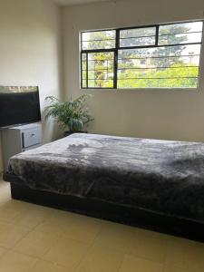 Hostal Casa Herrera في غواذالاخارا: سرير كبير في غرفة مع نافذة +6 صور