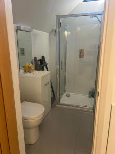 a bathroom with a toilet and a glass shower at Charming King Bed Ensuite Studio in Peaceful West Challow in Wantage +13 photos