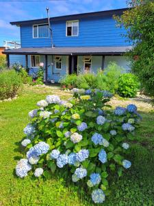 Κήπος έξω από το Cabañas ElyB