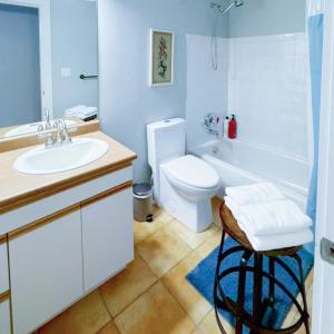 a bathroom with a white sink and a toilet at Horizon Suite-Baylight in Malahat