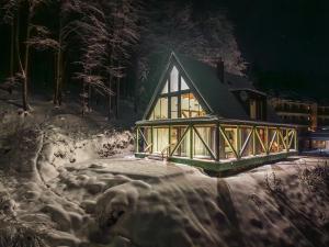 Serenity Skalka Ski & Wellness Residence om vinteren + 37 billeder