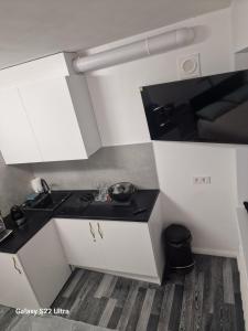 een kleine keuken met een wastafel in de kamer bij RentA Citywalk Flat in Kaunas